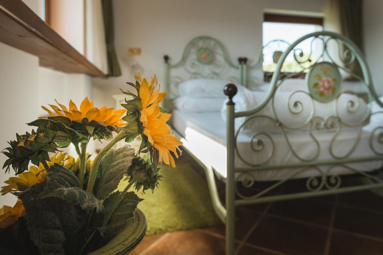 Palazzo Angelica B&B Adults Only Oprtalj 外观 照片